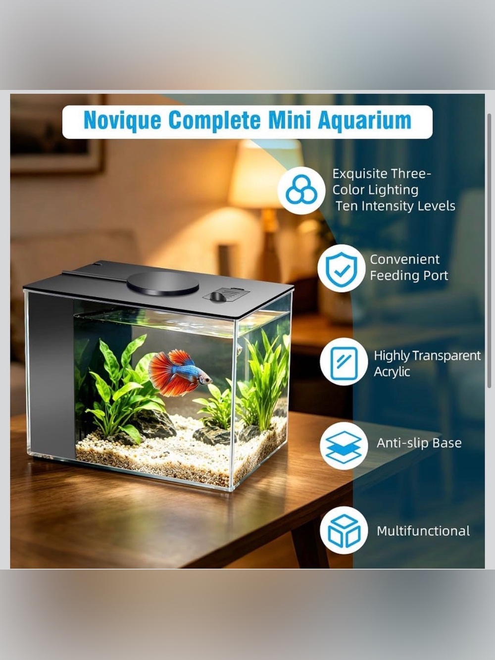 Small Fish Tank Kit 1 Gallon Aquarium - Picture 3 of 7